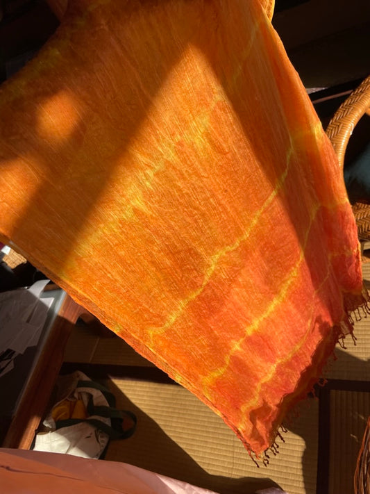 Striking Scarves: Natural Dye and Shibori Workshop with Serafima Zavorotny and Fiona Ferguson